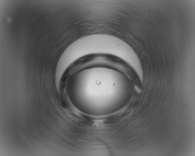 X0000071810376200606301233