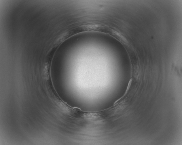 X0000071810378200606301233