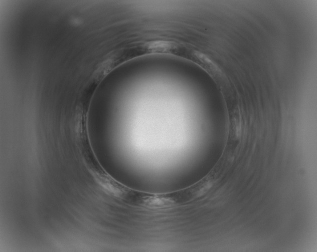 X0000071810379200606301233