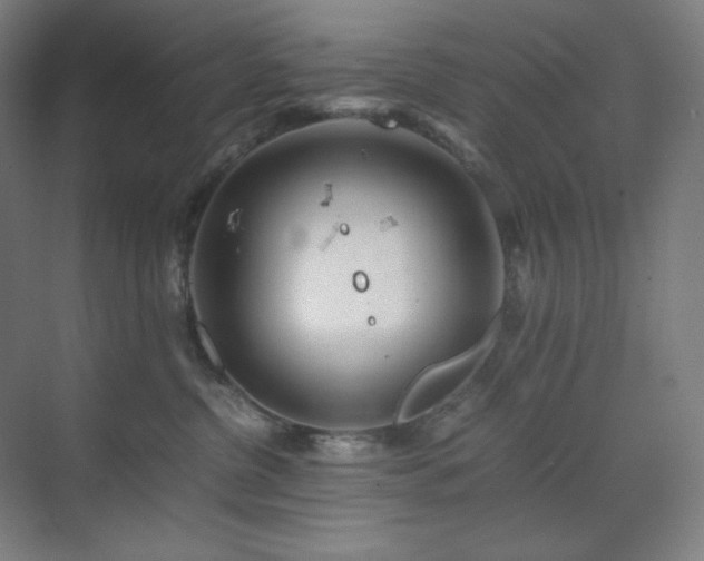 X0000071810380200606301233