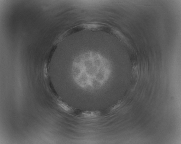 X0000071810381200606301233