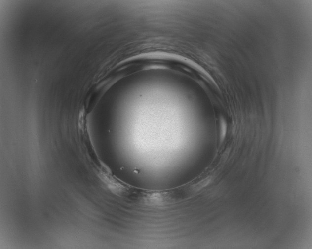 X0000071810382200606301233