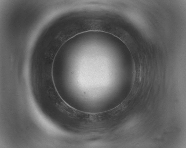 X0000071810383200606301233