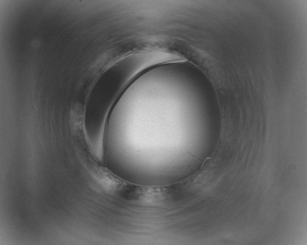 X0000071810384200606301233