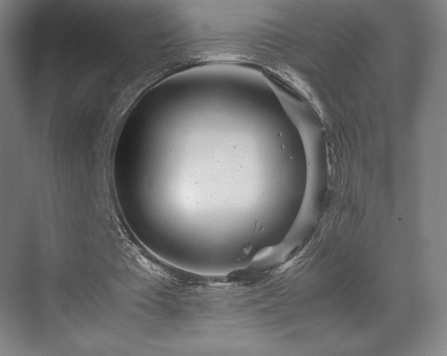 X0000071810385200606301232