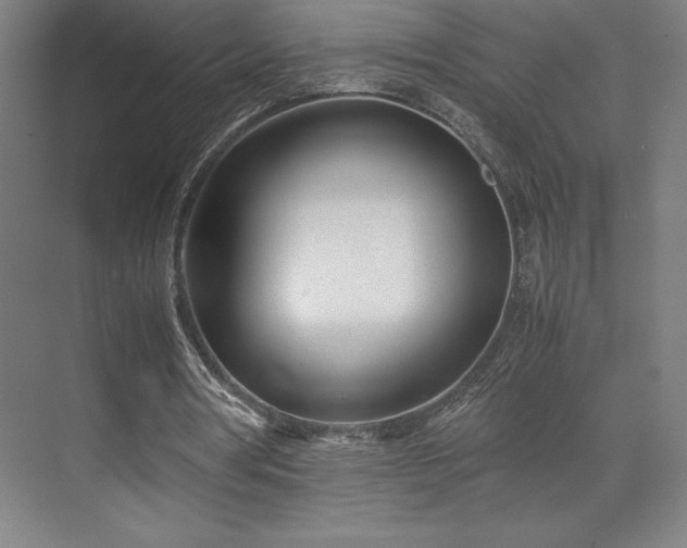 X0000071810386200606301232