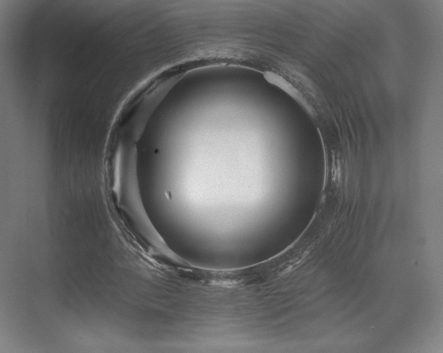 X0000071810388200606301232