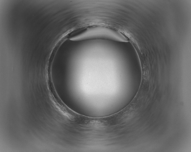 X0000071810390200606301232