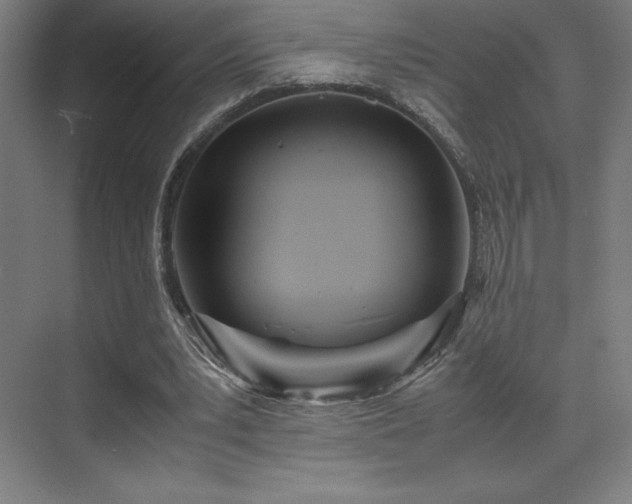 X0000071810391200606301232