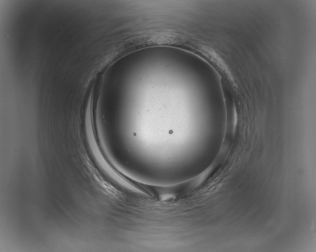 X0000071810393200606301232