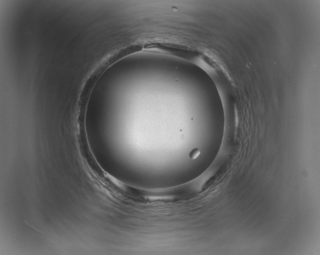 X0000071810395200606301232