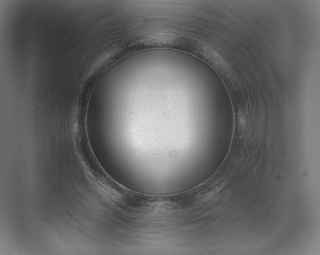 X0000071810396200606301232