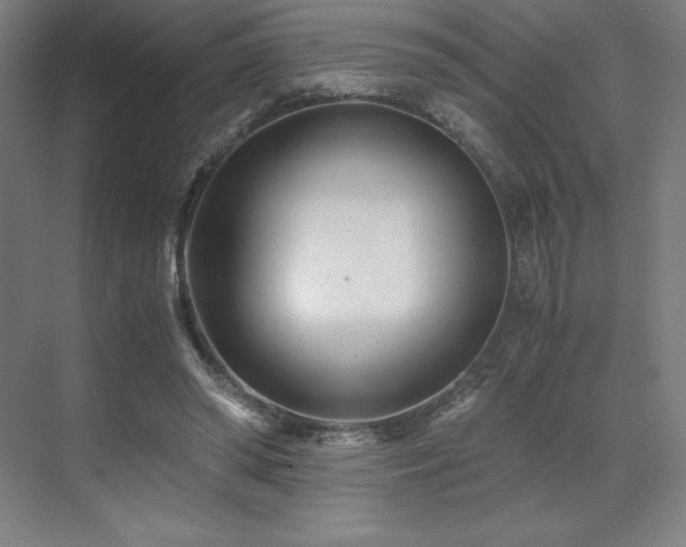 X0000071810398200606301232