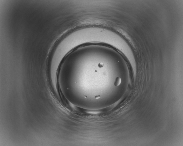 X0000071810399200606301232