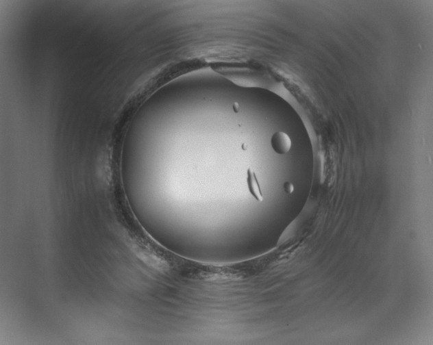 X0000071810400200606301232