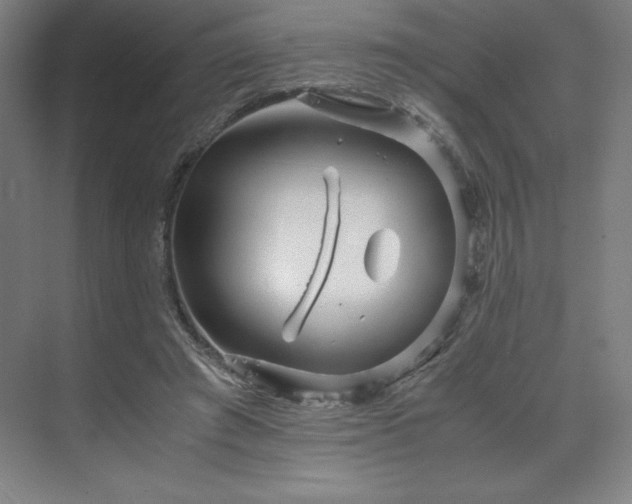 X0000071810401200606301232