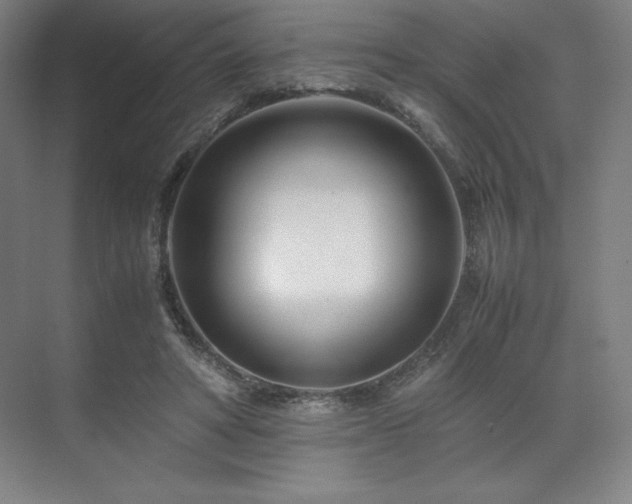 X0000071810402200606301232