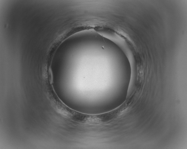 X0000071810403200606301232