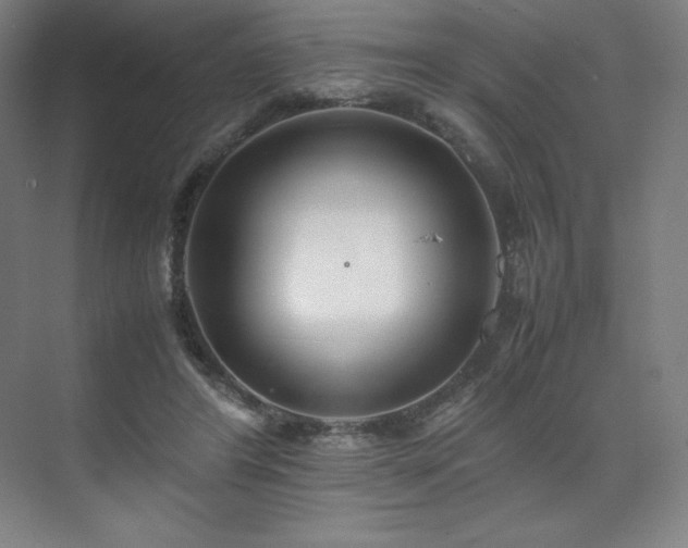 X0000071810404200606301232