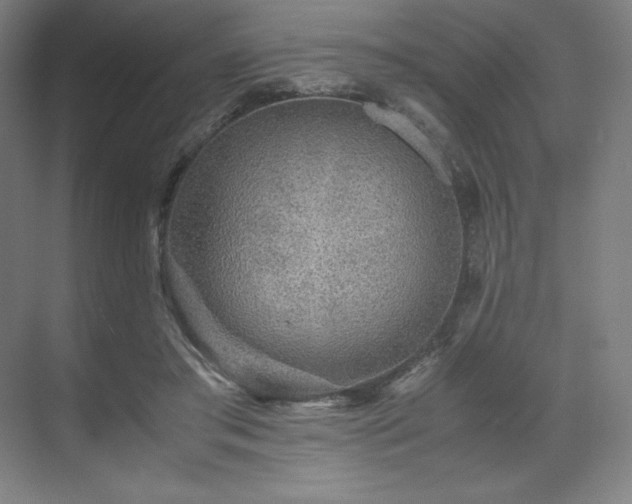 X0000071810405200606301232