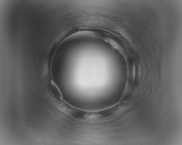 X0000071810407200606301232