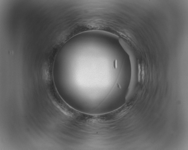 X0000071810408200606301232