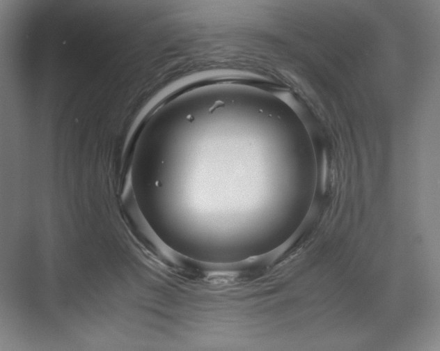 X0000071810409200606301232