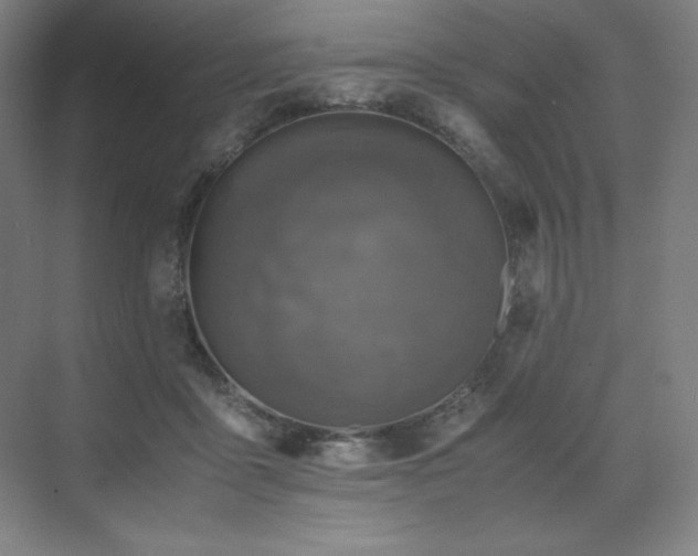 X0000071810411200606301232