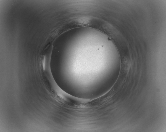 X0000071810412200606301232