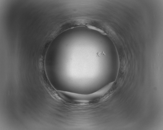 X0000071810413200606301232