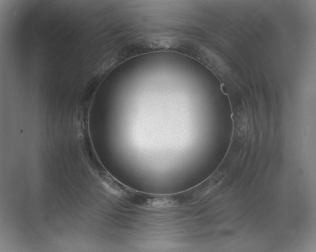 X0000071810414200606301232