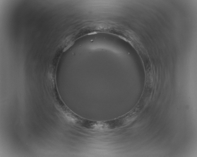 X0000071810415200606301232