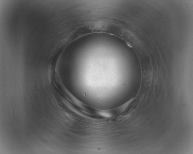 X0000071810416200606301232