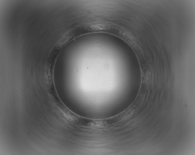 X0000071810418200606301232