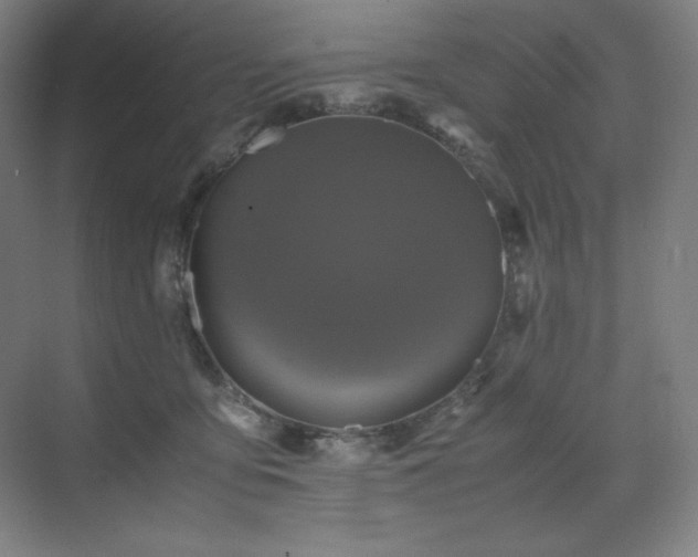 X0000071810419200606301232