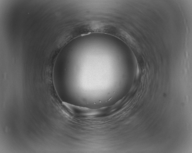 X0000071810421200606301232