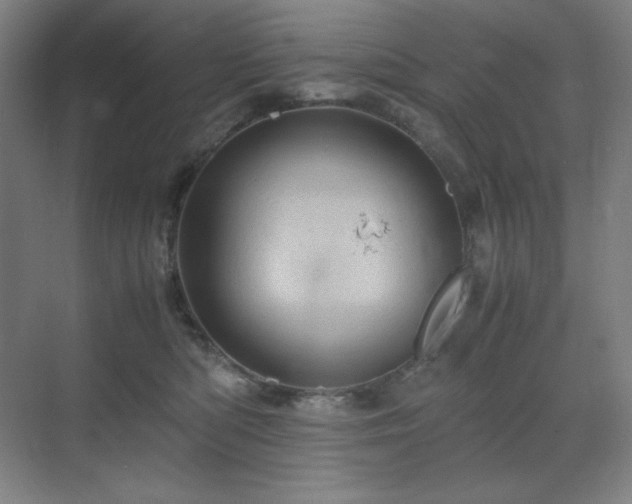 X0000071810422200606301232