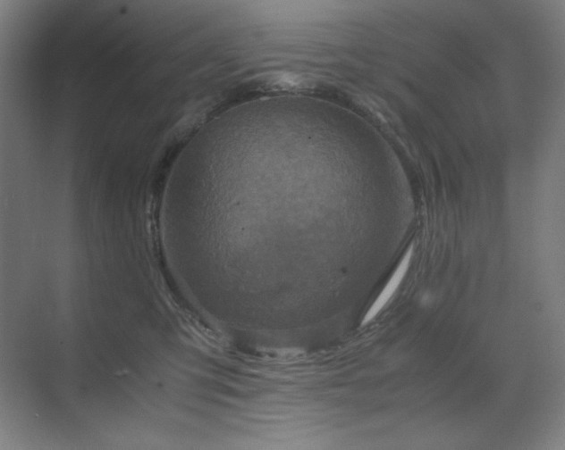 X0000071810423200606301232