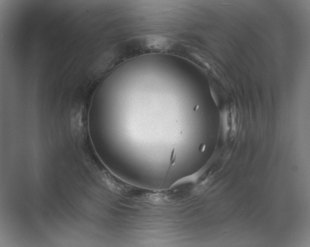 X0000071810424200606301232