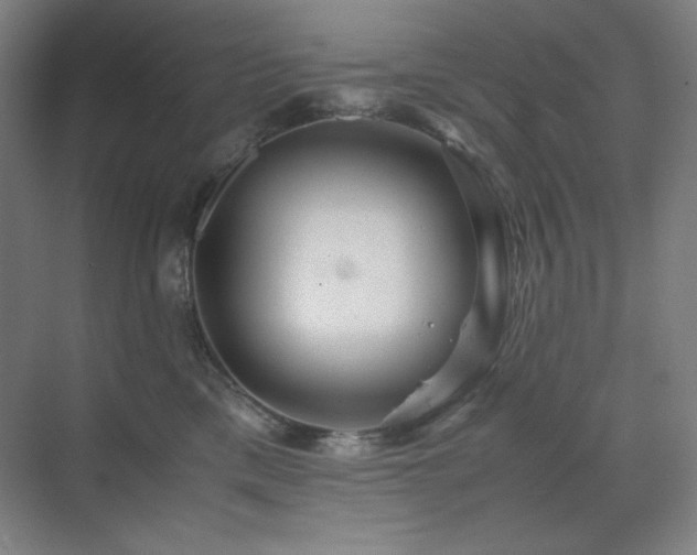 X0000071810425200606301232