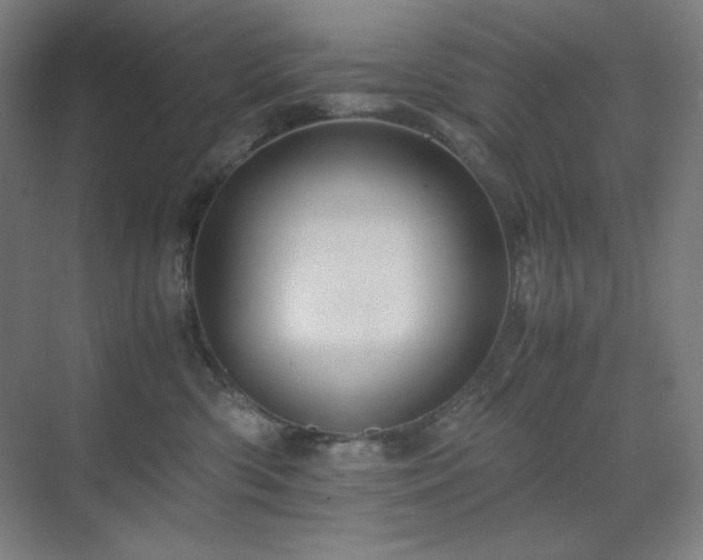 X0000071810426200606301232