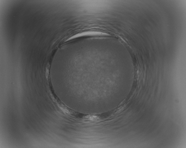 X0000071810427200606301232