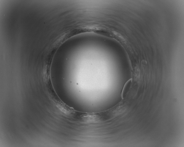 X0000071810428200606301232