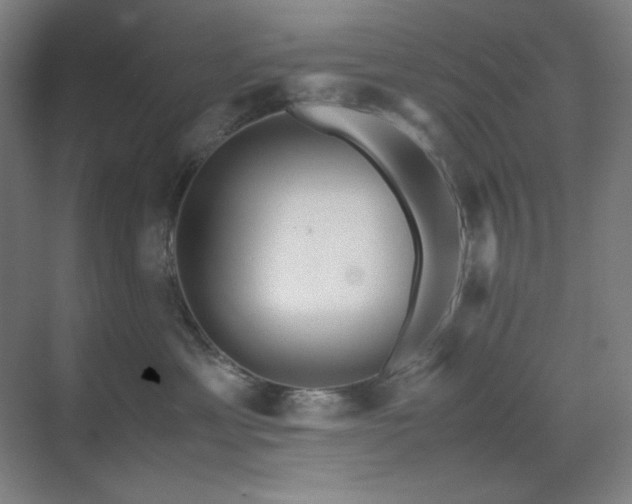 X0000071810429200606301232