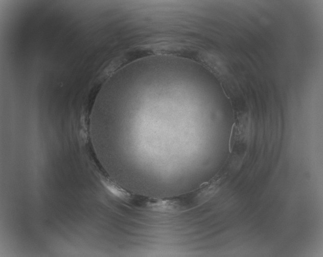 X0000071810430200606301232