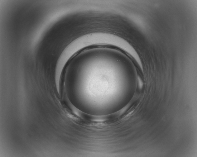 X0000071810431200606301232