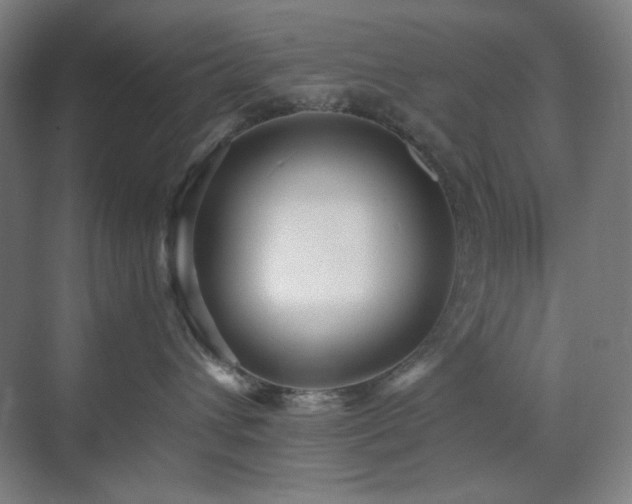 X0000071810432200606301232