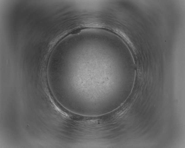 X0000071810433200606301231