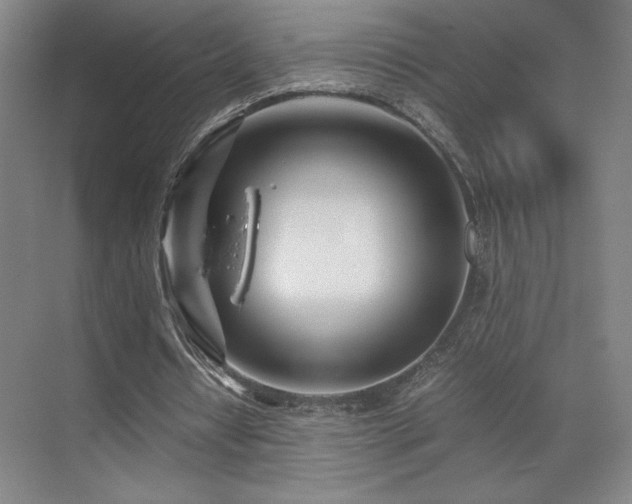 X0000071810434200606301231