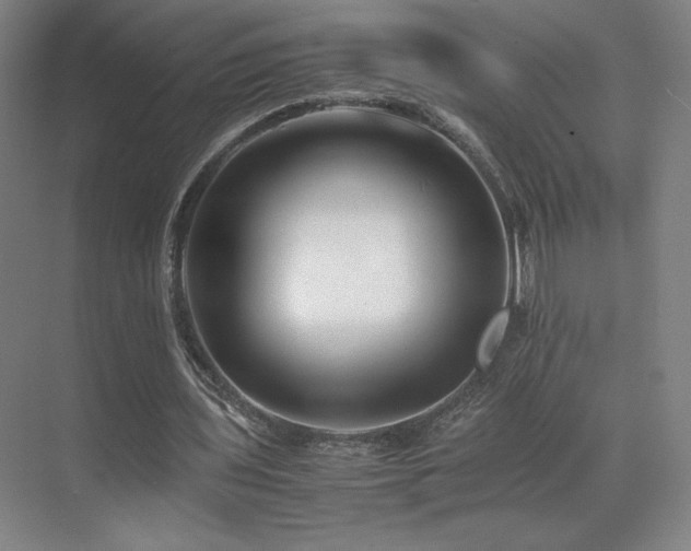 X0000071810435200606301231